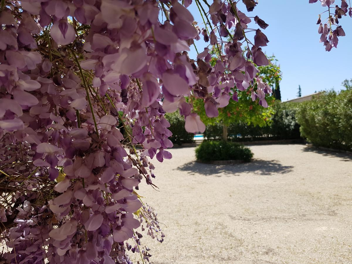 Bed and Breakfast La Pastorale Lagnes Экстерьер фото